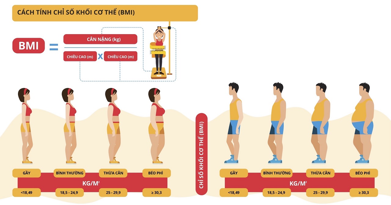 Theo dõi chỉ số khối cơ thể BMI trong kế hoạch giảm cân